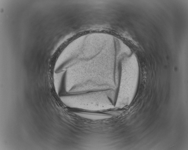 X0000061141256200512161521