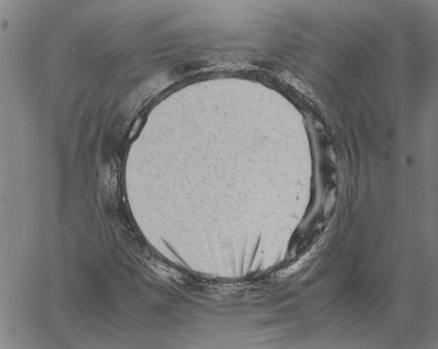 X0000061141257200512161521