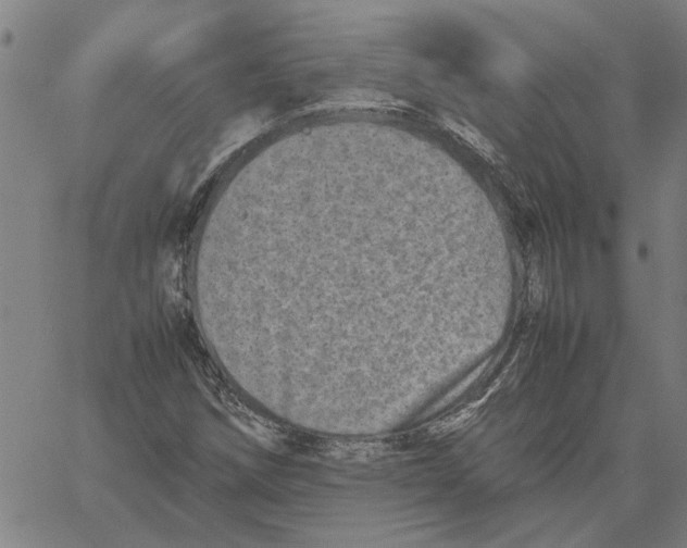 X0000061141258200512161521