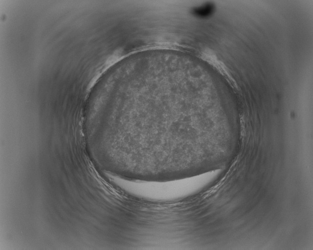 X0000061141260200512161521