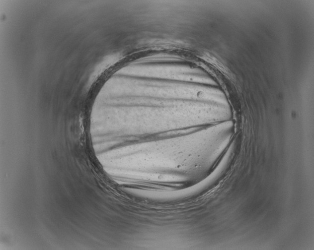 X0000061141261200512161521