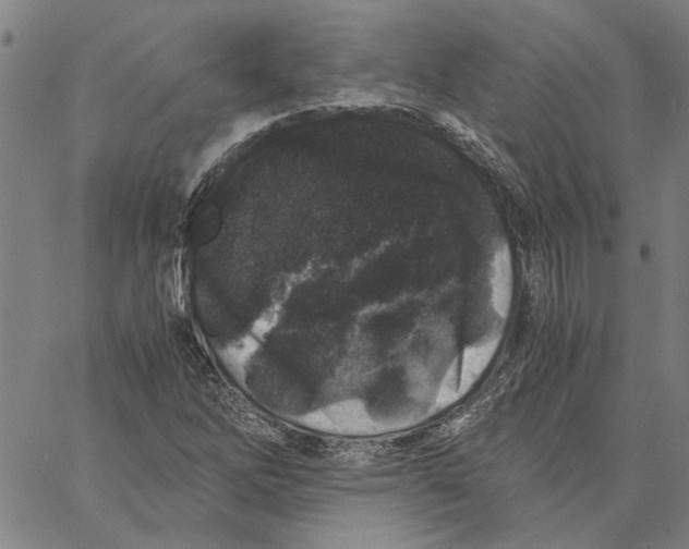 X0000061141262200512161521