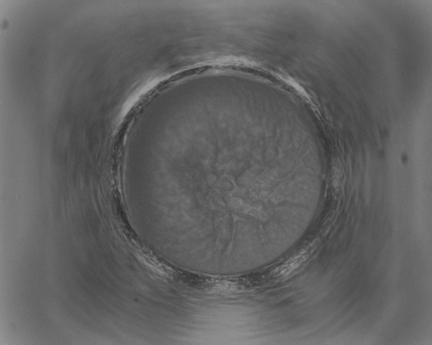 X0000061141263200512161521