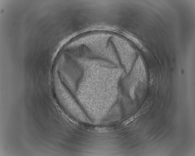 X0000061141264200512161521