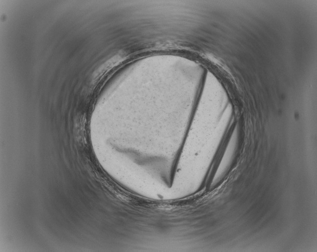 X0000061141265200512161521