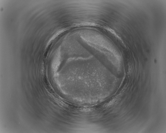 X0000061141266200512161521