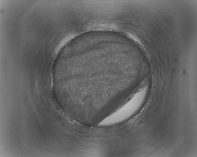 X0000061141267200512161521