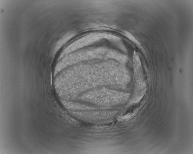 X0000061141269200512161521