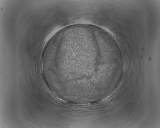 X0000061141271200512161521