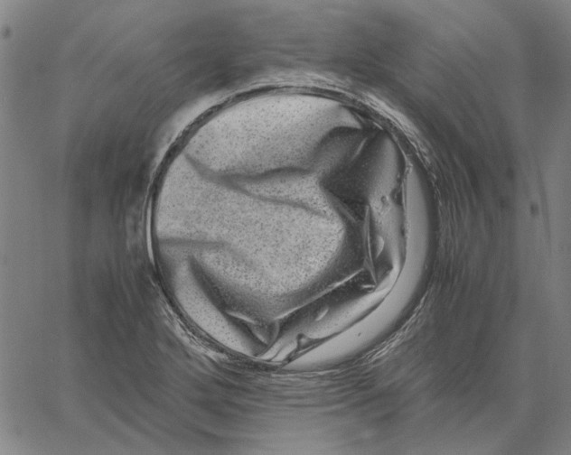 X0000061141272200512161521