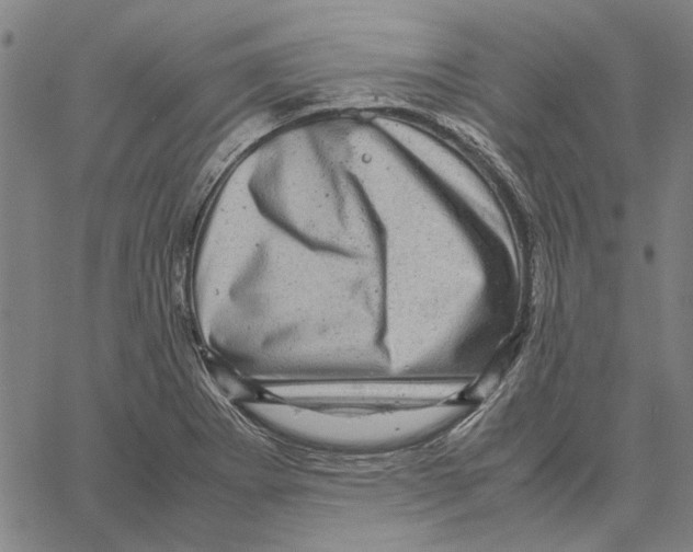 X0000061141273200512161521