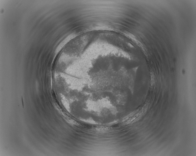 X0000061141274200512161521