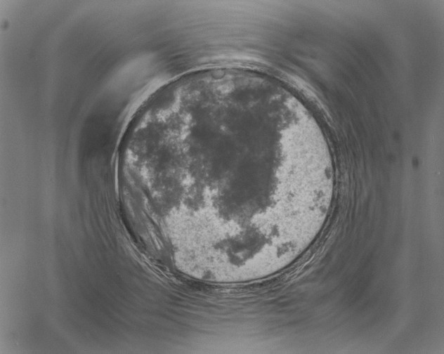 X0000061141275200512161521