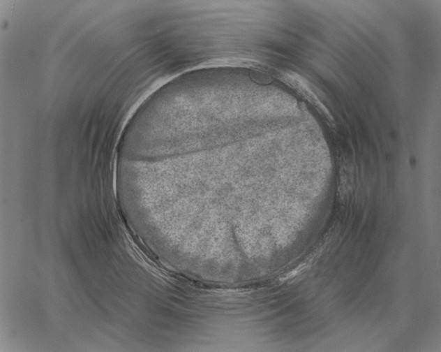 X0000061141276200512161521