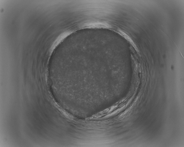 X0000061141277200512161521