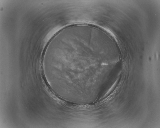 X0000061141279200512161521