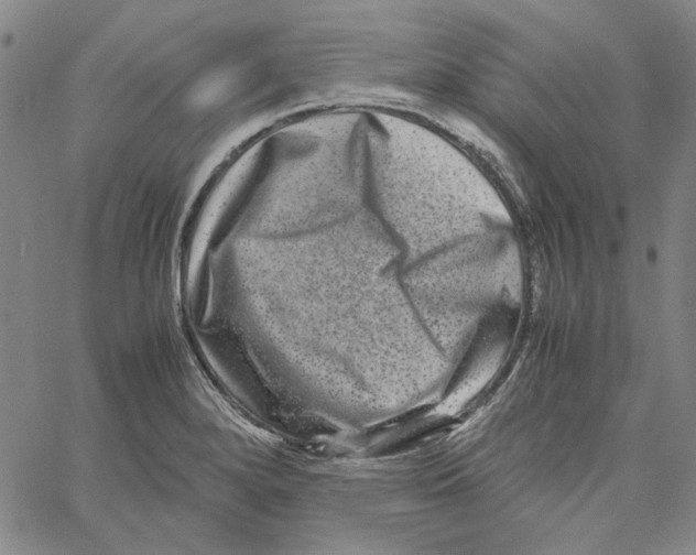 X0000061141280200512161521