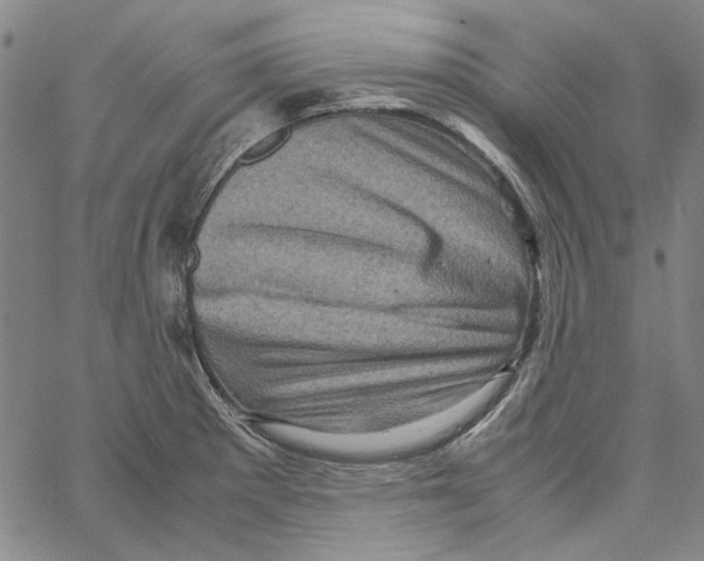 X0000061141281200512161521