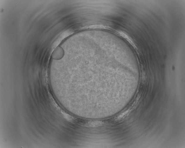 X0000061141282200512161521