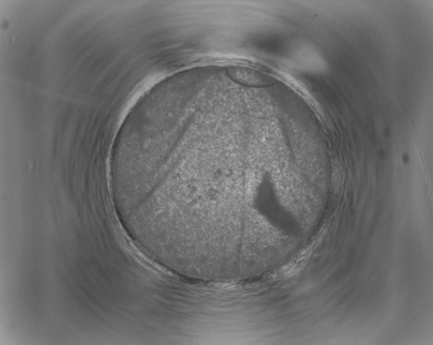 X0000061141283200512161521