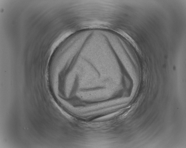 X0000061141285200512161521