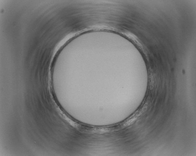 X0000061141286200512161521