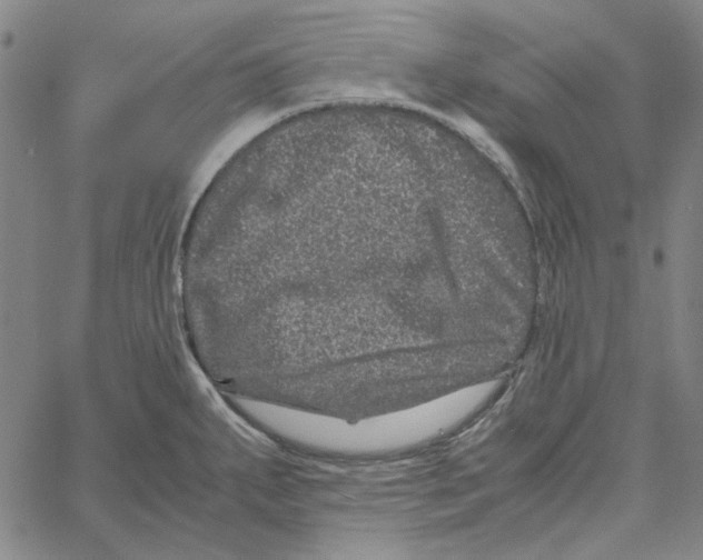 X0000061141287200512161521