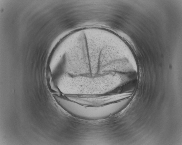 X0000061141288200512161521