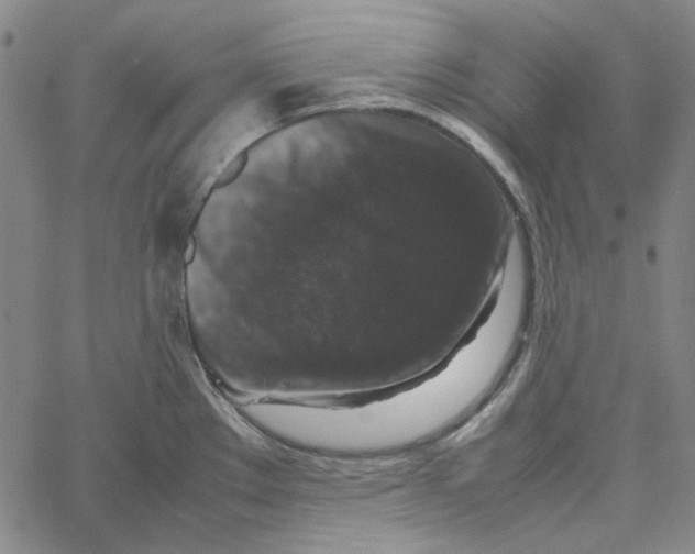 X0000061141289200512161521