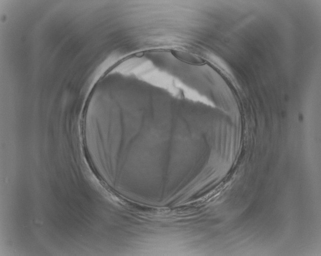 X0000061141291200512161521