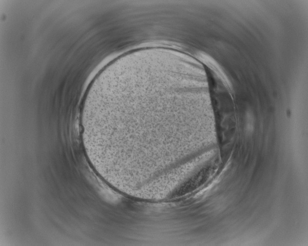 X0000061141292200512161520