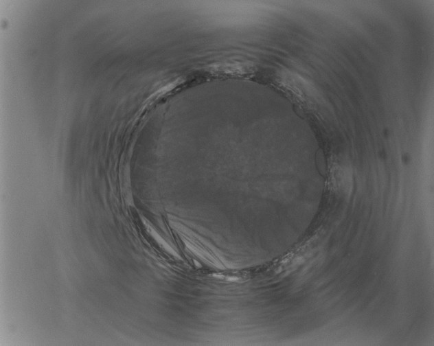 X0000061141297200512161520