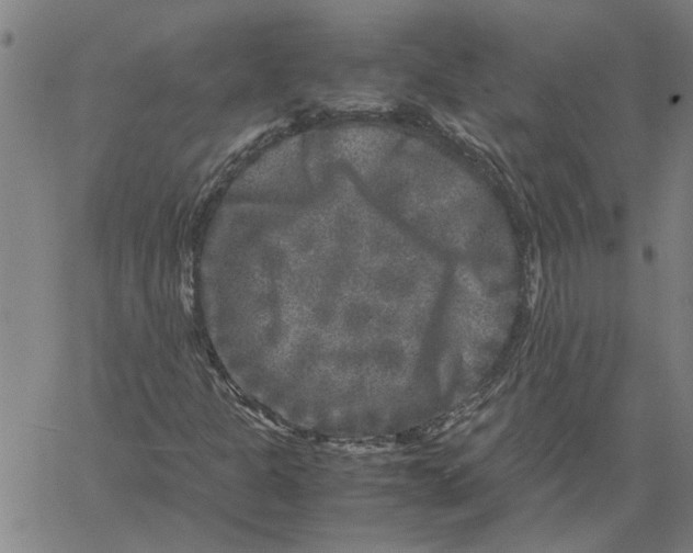 X0000061141301200512161520