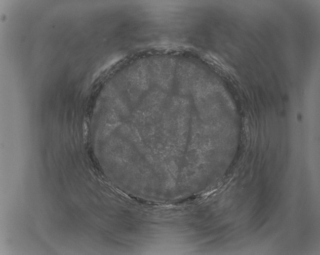 X0000061141302200512161520