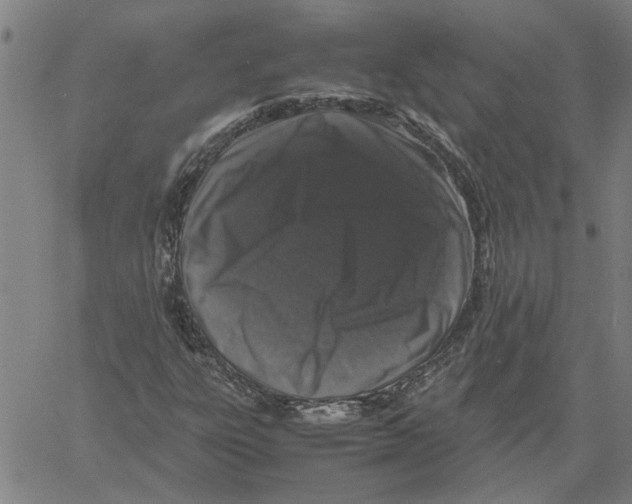 X0000061141303200512161520