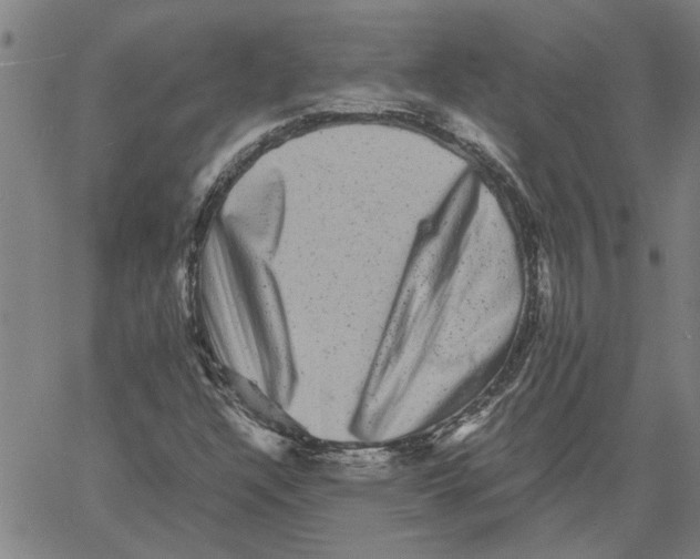 X0000061141304200512161520