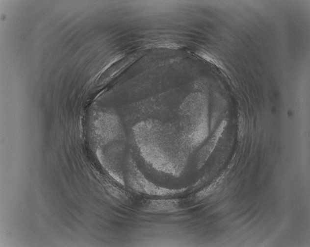 X0000061141305200512161520