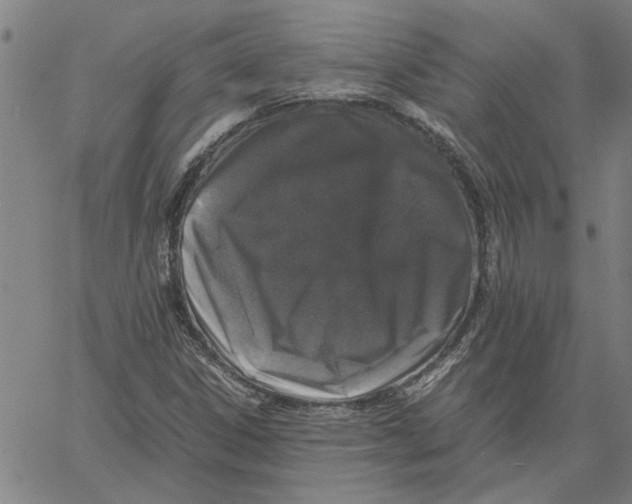 X0000061141306200512161520