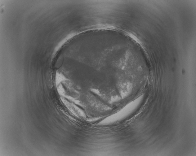 X0000061141310200512161520