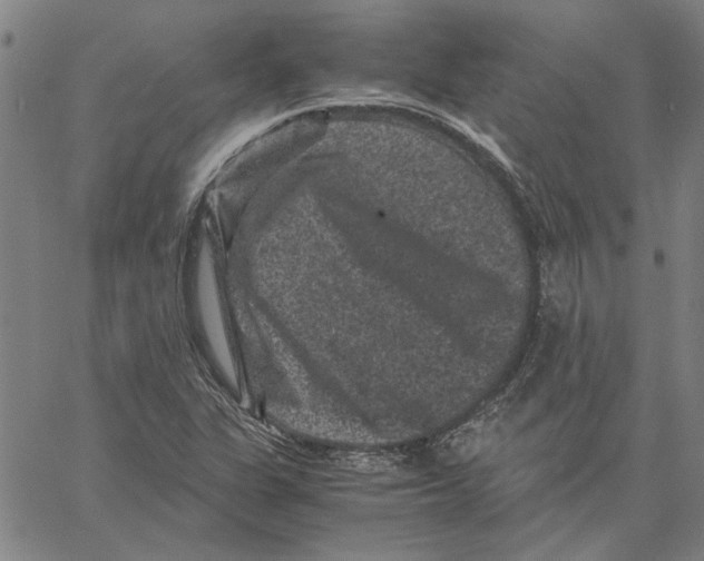 X0000061141311200512161520