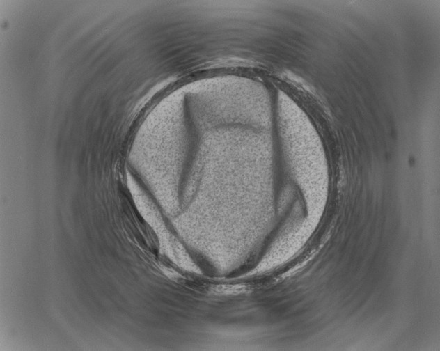 X0000061141313200512161520