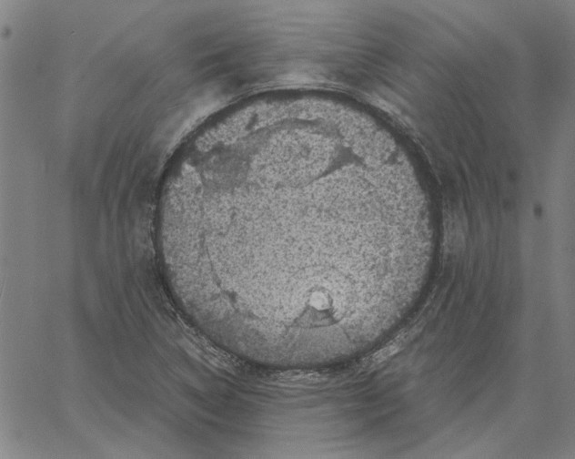 X0000061141314200512161520