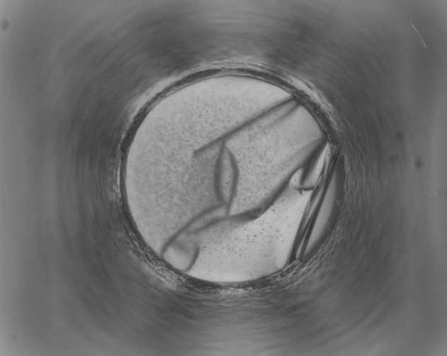 X0000061141316200512161520