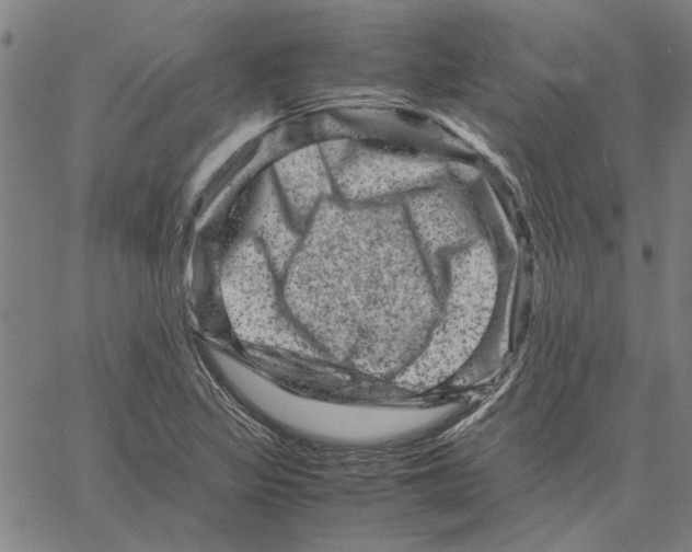 X0000061141317200512161520