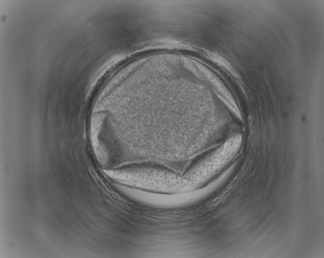 X0000061141318200512161520