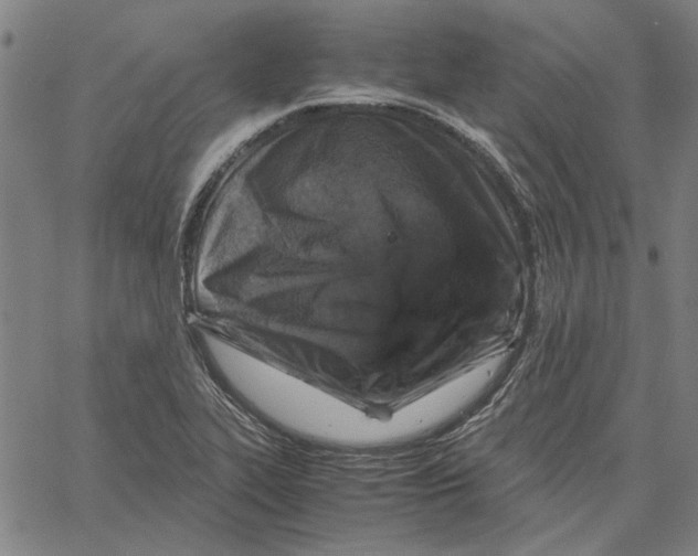 X0000061141319200512161520