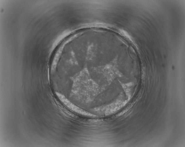 X0000061141320200512161520