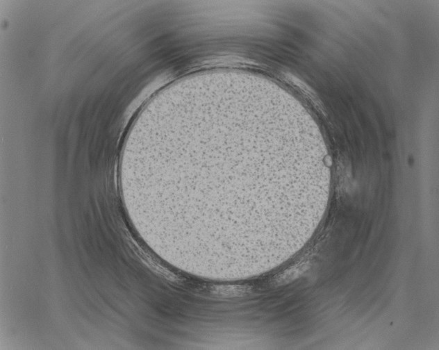 X0000061141322200512161520