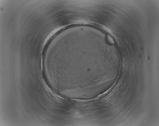 X0000061141323200512161520