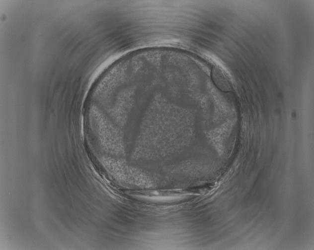 X0000061141324200512161520